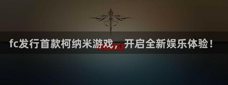 广州pp电子网络科技有限公司招聘：fc发行首款柯纳米游戏，开启全新娱乐体验！