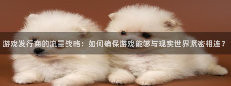 pp电子男装品牌