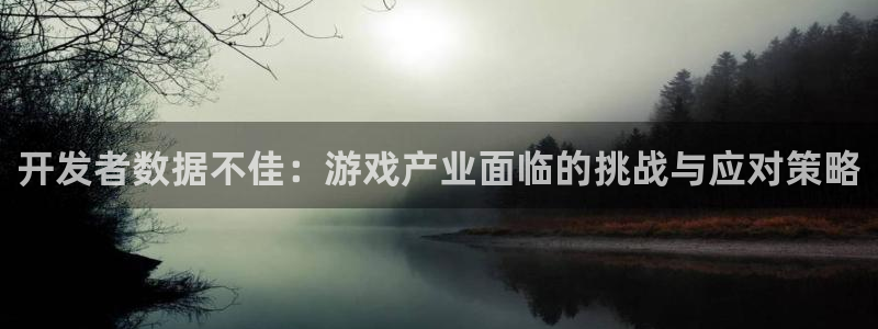 pp电子子文化创意做什么的：开发者数据不佳：游戏产业面临的挑战与应对策略
