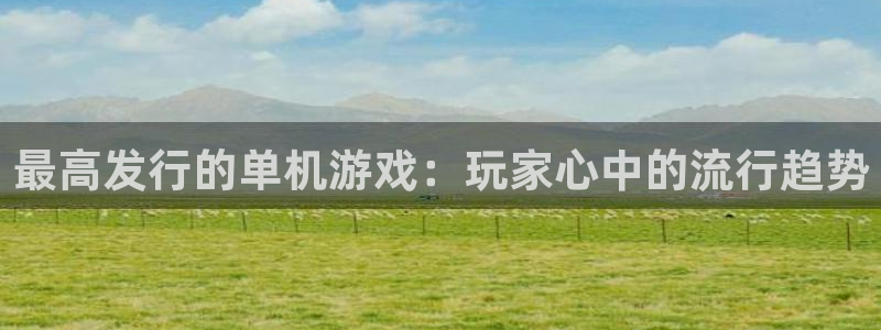 pp电子官网游戏平台介绍：最高发行的单机游戏：玩家心中的流行趋势