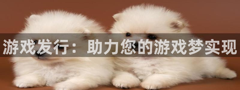 pp电子智邦(北京)品牌策划有限公司：游戏发行：助力您的游戏梦实现