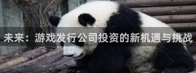 pp电子官网客服电话是多少
