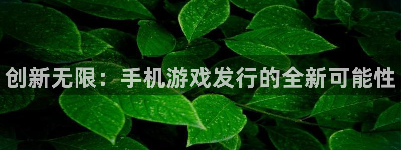 pp电子官网客服服务：创新无限：手机游戏发行的全新可能性