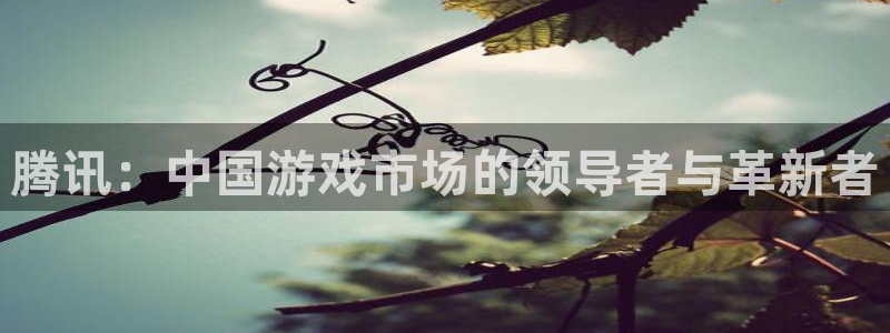 陕西pp电子子文化创意有限公司1：腾讯：中国游戏市场的领导者与革新者