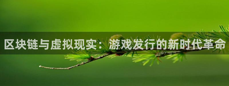 pp电子电子商务有限公司电话：区块链与虚拟现实：游戏发行的新时代革命