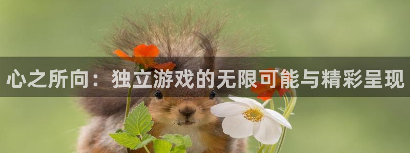 pp电子智邦(北京)品牌策划有限公司：心之所向：独立游戏的无限可能与精彩呈现
