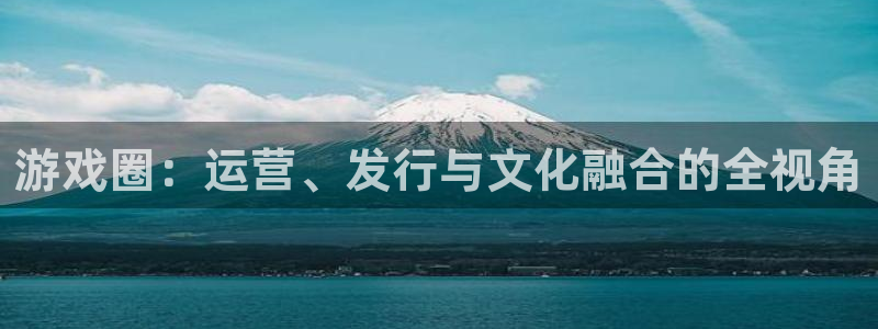 pp电子官网平台代理开号怎么开：游戏圈：运营、发行与文化融合的全视角