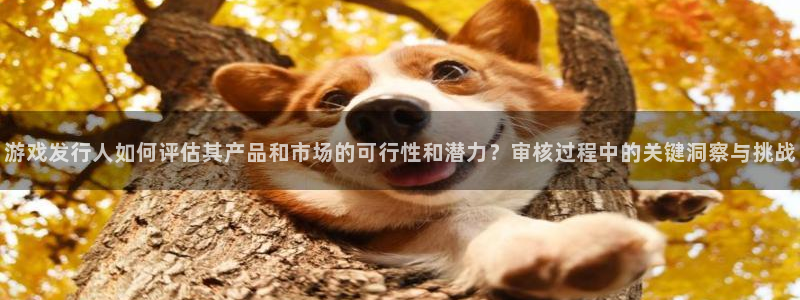 pp电子子最好看的小说：游戏发行人如何评估其产品和市场的可行性和潜力？审核过程中的关键洞察与挑战