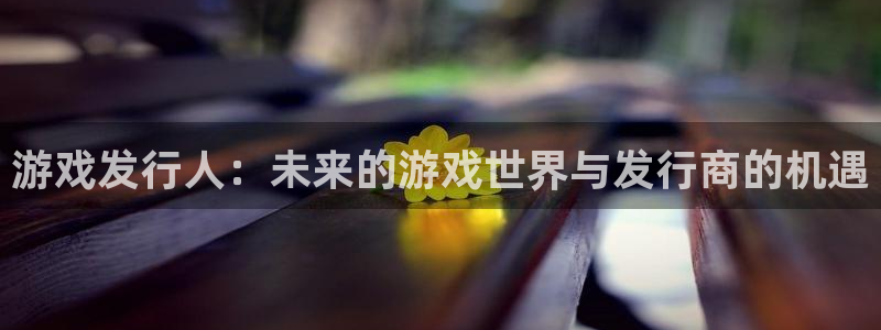 pp电子官网登录注册不了账号：游戏发行人：未来的游戏世界与发行商的机遇