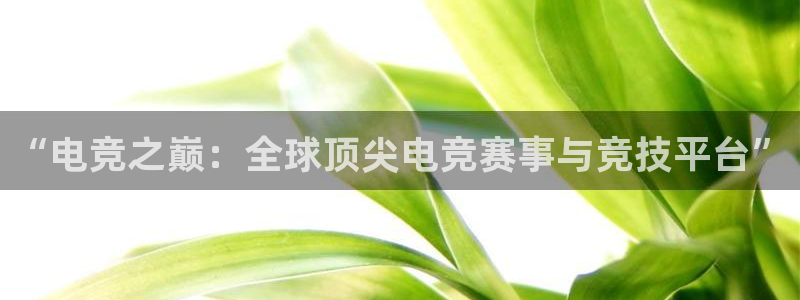 pp电子官网登录注册账号安全吗：“电竞之巅：全球顶尖电竞赛事与竞技平台”