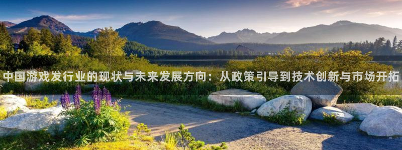 pp电子官网注册方法是什么意思：中国游戏发行业的现状与未来发展方向：从政策引导到技术创新与市场开拓