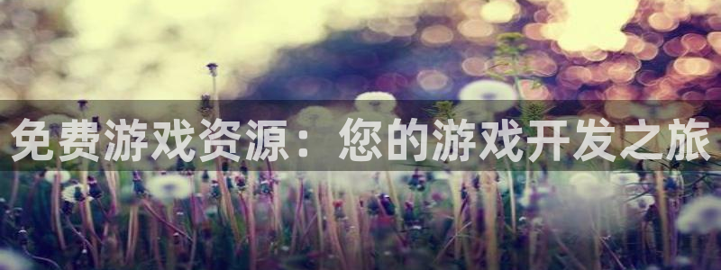 pp电子子经理人读后感：免费游戏资源：您的游戏开发之旅
