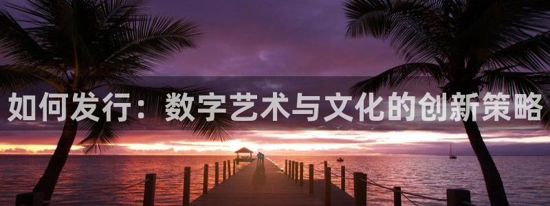 长沙pp电子子电子商务有限公司