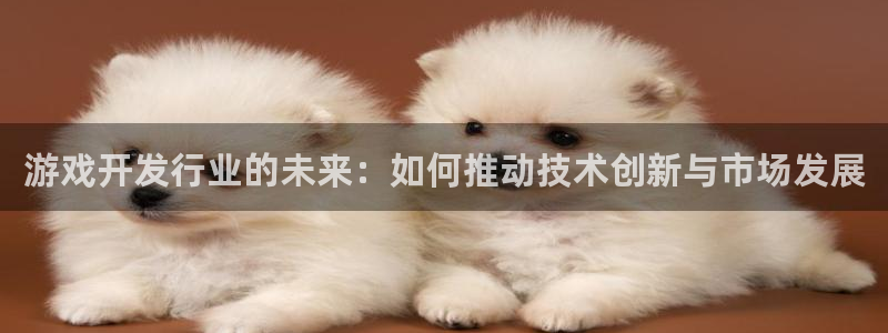 pp电子官网跑路了吗：游戏开发行业的未来：如何推动技术创新与市场发展