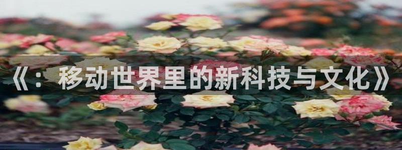 pp电子官网登录注册账号密码：《：移动世界里的新科技与文化》