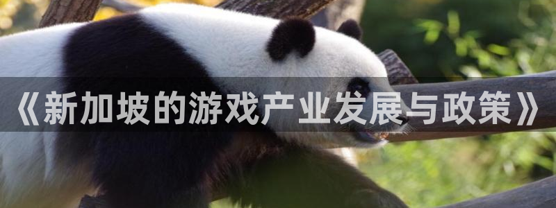 pp电子官网是境外的吗