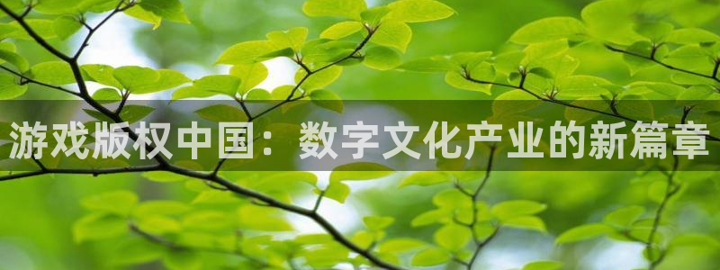 pp电子官网开户待遇：游戏版权中国：数字文化产业的新篇章