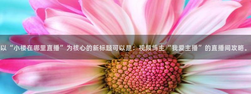 飞速足球直播：以“小楼在哪里直播”为核心的新标题可以是：视频博主“我爱主播”的直播间攻略。