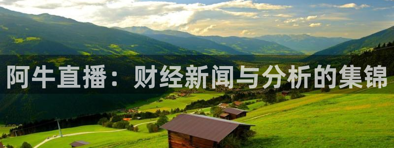飞速直播看球：阿牛直播：财经新闻与分析的集锦