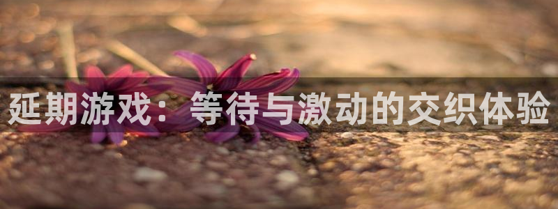 陕西pp电子子文化创意干啥的