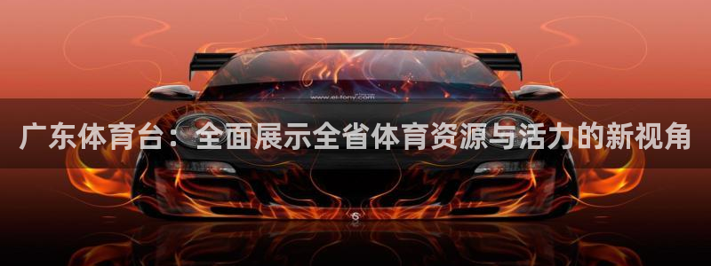 飞速体育app：广东体育台：全面展示全省体育资源与活力的新视角