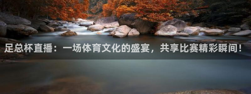 飞速篮球直播：足总杯直播：一场体育文化的盛宴，共享比赛精彩瞬间！