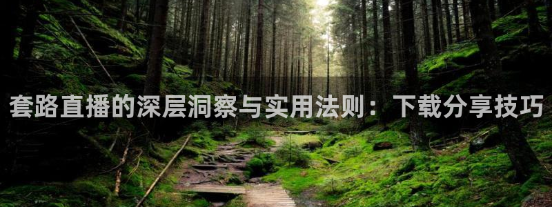 nba飞速在线直播：套路直播的深层洞察与实用法则：下载分享技巧